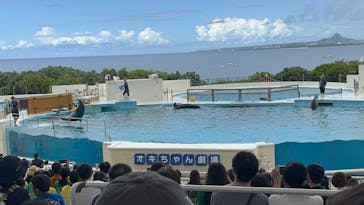 沖縄美ら海水族館に投稿された画像（2025/9/13）