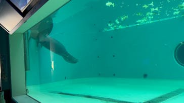 沖縄美ら海水族館に投稿された画像（2025/9/13）