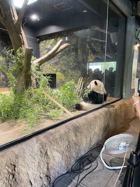 恩賜上野動物園に投稿された画像（2025/9/13）