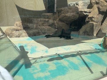 サンシャイン水族館に投稿された画像（2025/9/13）