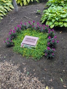 ノーザンホースパークに投稿された画像（2025/9/13）