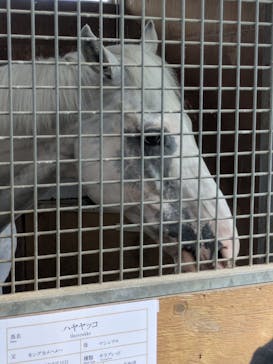 ノーザンホースパークに投稿された画像（2025/9/13）