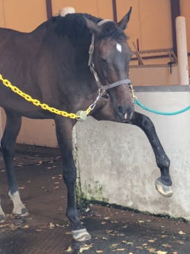 ノーザンホースパークに投稿された画像（2025/9/13）