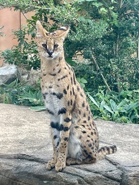 那須どうぶつ王国に投稿された画像（2025/9/13）