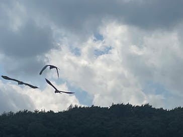 那須どうぶつ王国に投稿された画像（2025/9/13）