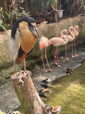 那須どうぶつ王国に投稿された画像（2025/9/13）