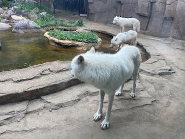 那須どうぶつ王国に投稿された画像（2025/9/13）