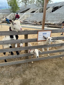 霞ケ浦 どうぶつとみんなのいえに投稿された画像（2025/9/13）