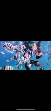 武藤潜水に投稿された画像（2025/9/13）