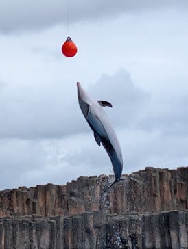 名古屋港水族館に投稿された画像（2025/9/13）