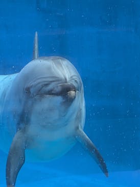 名古屋港水族館に投稿された画像（2025/9/13）