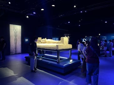 ACN ラムセス大王展 ファラオたちの黄金に投稿された画像（2025/9/13）