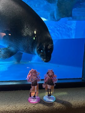サンシャイン水族館に投稿された画像（2025/9/13）