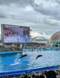 名古屋港水族館に投稿された画像（2025/9/13）