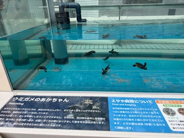 名古屋港水族館に投稿された画像（2025/9/13）