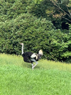千葉市動物公園に投稿された画像（2025/9/13）