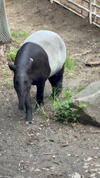 千葉市動物公園に投稿された画像（2025/9/13）