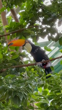 千葉市動物公園に投稿された画像（2025/9/13）