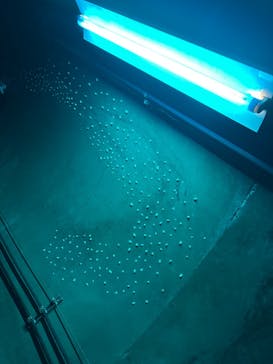 清津峡渓谷トンネルに投稿された画像（2025/9/13）