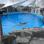 名古屋港水族館に投稿された画像（2025/9/13）