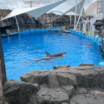 名古屋港水族館に投稿された画像（2025/9/13）