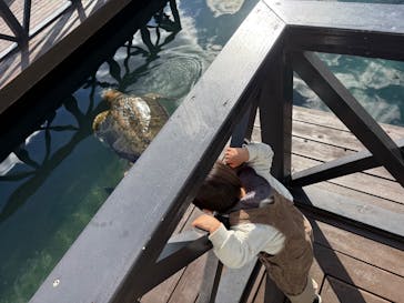 串本海中公園水族館に投稿された画像（2025/9/13）