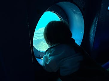 串本海中公園水族館に投稿された画像（2025/9/13）