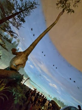 福井県立恐竜博物館に投稿された画像（2025/9/13）