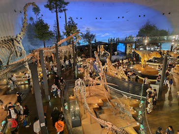 福井県立恐竜博物館に投稿された画像（2025/9/13）