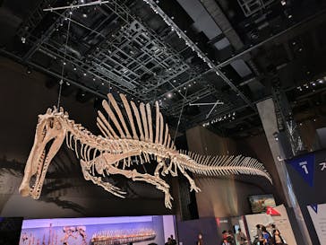 福井県立恐竜博物館に投稿された画像（2025/9/13）