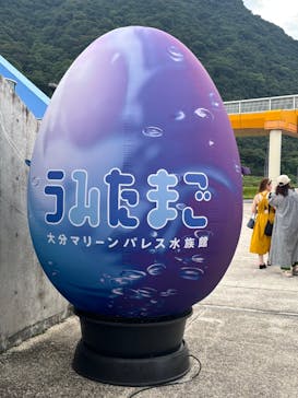 大分マリーンパレス水族館 「うみたまご」に投稿された画像（2025/9/13）