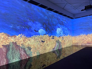 ゴッホ展　家族がつないだ画家の夢（東京都美術館）に投稿された画像（2025/9/13）