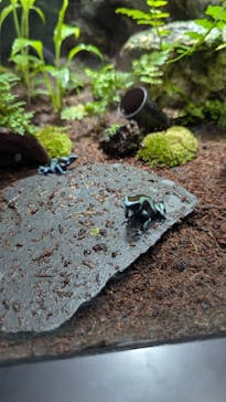 サンシャイン水族館に投稿された画像（2025/9/13）