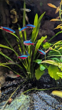 サンシャイン水族館に投稿された画像（2025/9/13）