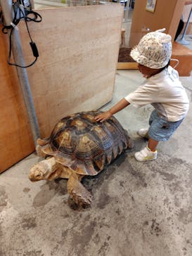 Moff animal cafe MARKIS 福岡ももち店に投稿された画像（2025/9/13）