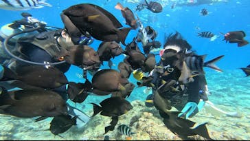 武藤潜水に投稿された画像（2025/9/13）