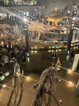 福井県立恐竜博物館に投稿された画像（2025/9/13）