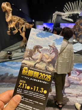 福井県立恐竜博物館に投稿された画像（2025/9/13）
