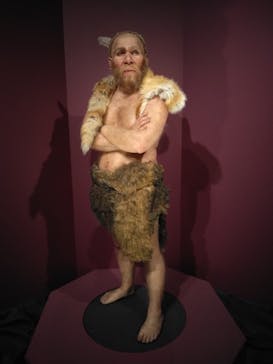 特別展「氷河期展 〜人類が見た4万年前の世界〜」（国立科学博物館）に投稿された画像（2025/9/13）