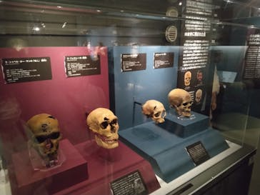 特別展「氷河期展 〜人類が見た4万年前の世界〜」（国立科学博物館）に投稿された画像（2025/9/13）