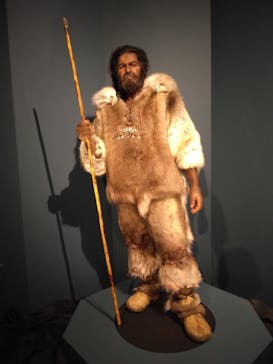 特別展「氷河期展 〜人類が見た4万年前の世界〜」（国立科学博物館）に投稿された画像（2025/9/13）