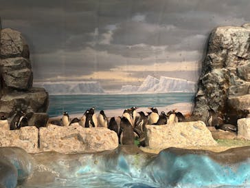 名古屋港水族館に投稿された画像（2025/9/13）