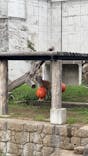 天王寺動物園に投稿された画像（2025/9/13）