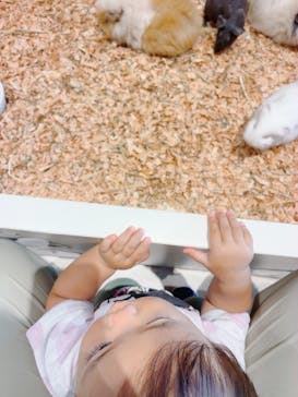 アニタッチPARKイオンモール太田に投稿された画像（2025/9/13）