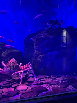 仙台うみの杜水族館に投稿された画像（2025/9/13）
