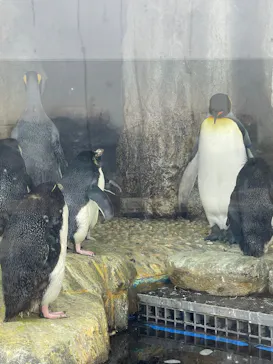 仙台うみの杜水族館に投稿された画像（2025/9/13）