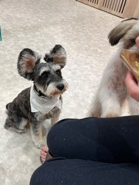 いぬカフェRio 富士見店に投稿された画像（2025/9/13）