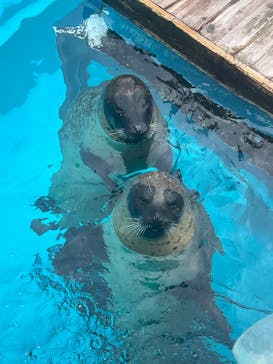 マリンワールド海の中道に投稿された画像（2025/9/13）