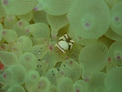 NOAH'S DIVE WAKAYAMA（ノアズダイブワカヤマ）に投稿された画像（2025/9/13）