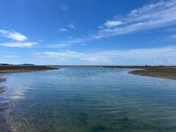 NOAH'S DIVE WAKAYAMA（ノアズダイブワカヤマ）に投稿された画像（2025/9/13）